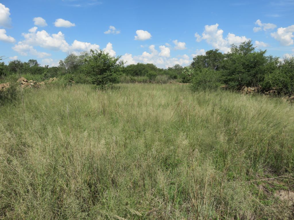 Vegkop position of old monument